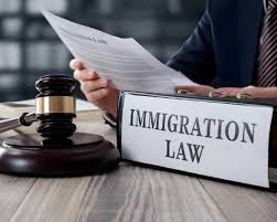 Michigan-immigration-law-attorneys