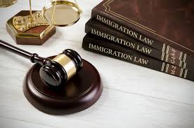 Georgia-immigration-law-attorneys